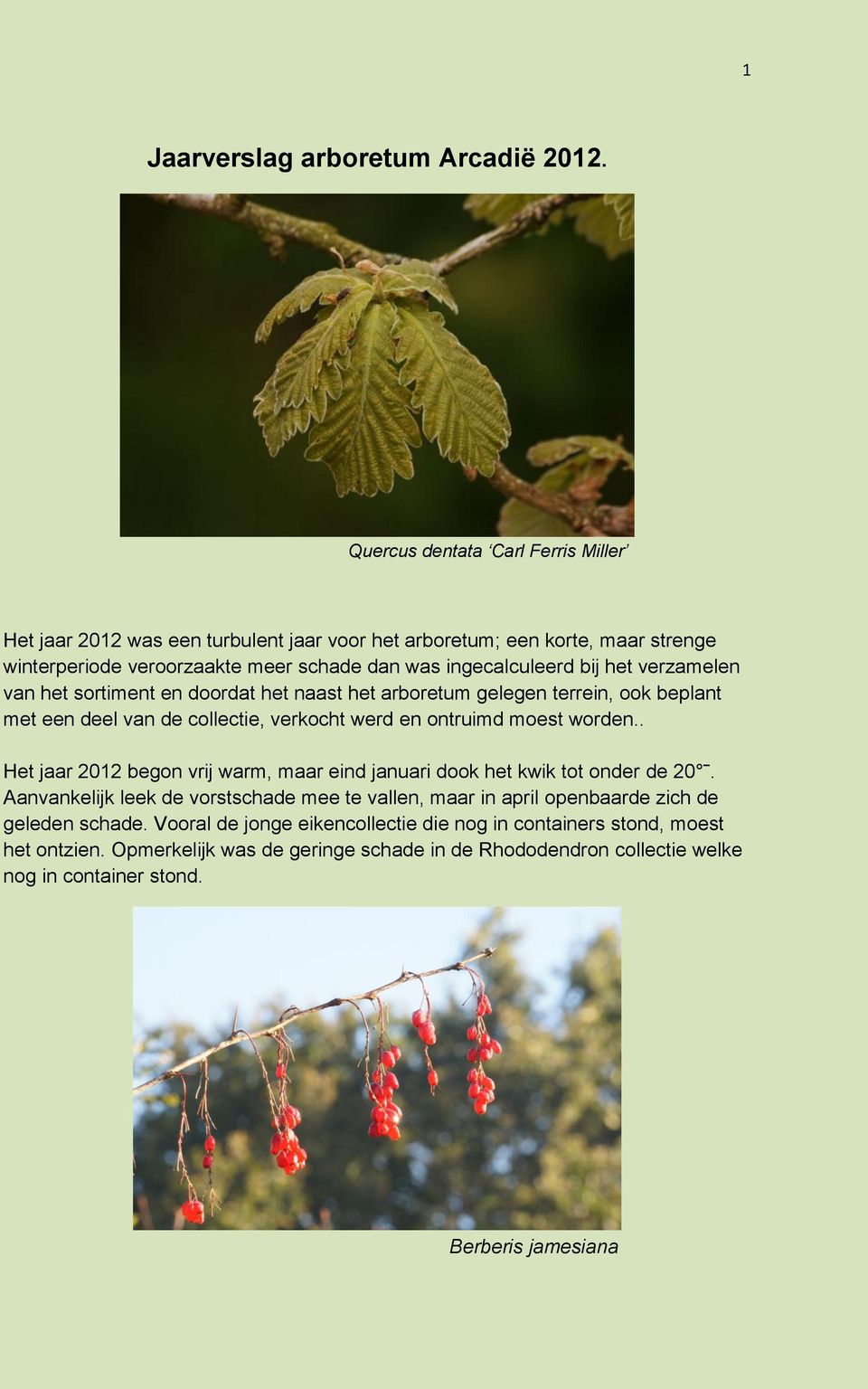 verzamelen van het sortiment en doordat het naast het arboretum gelegen terrein, ook beplant met een deel van de collectie, verkocht werd en ontruimd moest worden.