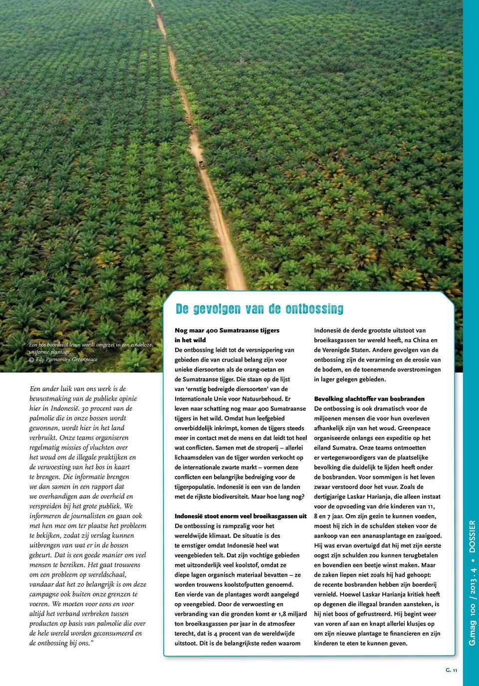30 procent van de palmolie die in onze bossen wordt gewonnen, wordt hier in het land verbruikt.