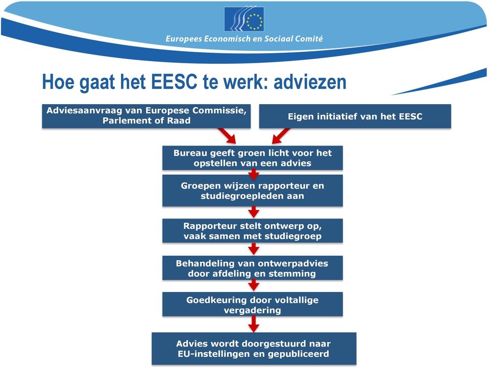 studiegroepleden aan Rapporteur stelt ontwerp op, vaak samen met studiegroep Behandeling van ontwerpadvies door