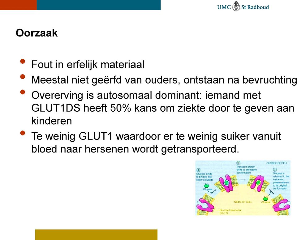 GLUT1DS heeft 50% kans om ziekte door te geven aan kinderen Te weinig