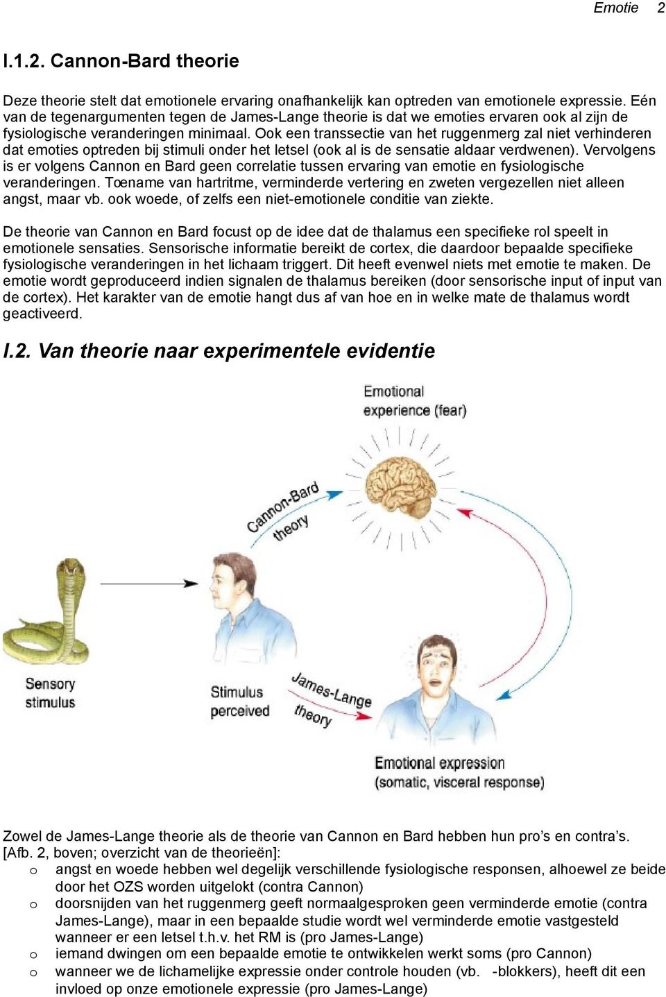 Ook een transsectie van het ruggenmerg zal niet verhinderen dat emoties optreden bij stimuli onder het letsel (ook al is de sensatie aldaar verdwenen).