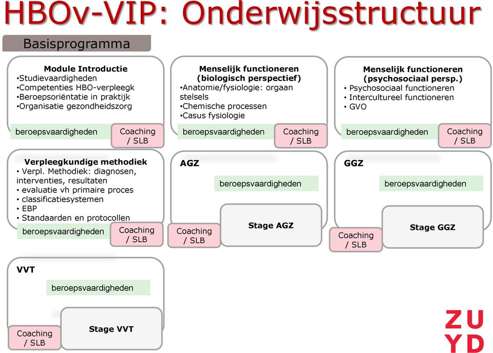 ) Psychosociaal functioneren Intercultureel functioneren GVO beroepsvaardigheden Coaching beroepsvaardigheden Coaching beroepsvaardigheden / SLB / SLB Coaching / SLB Verpleegkundige methodiek Verpl.