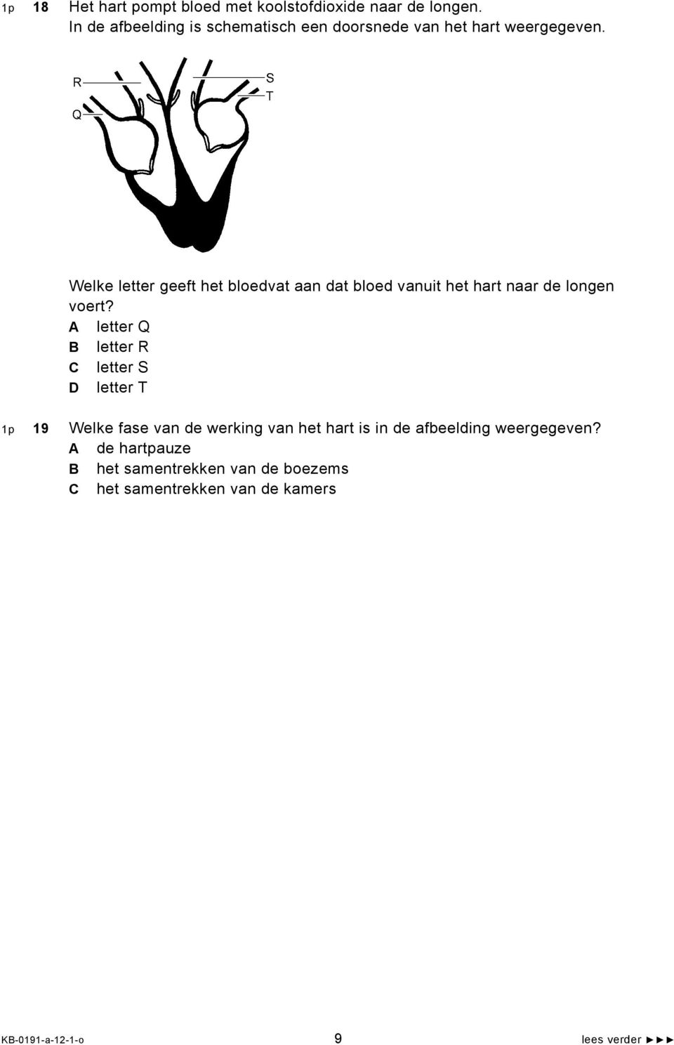 Welke letter geeft het bloedvat aan dat bloed vanuit het hart naar de longen voert?