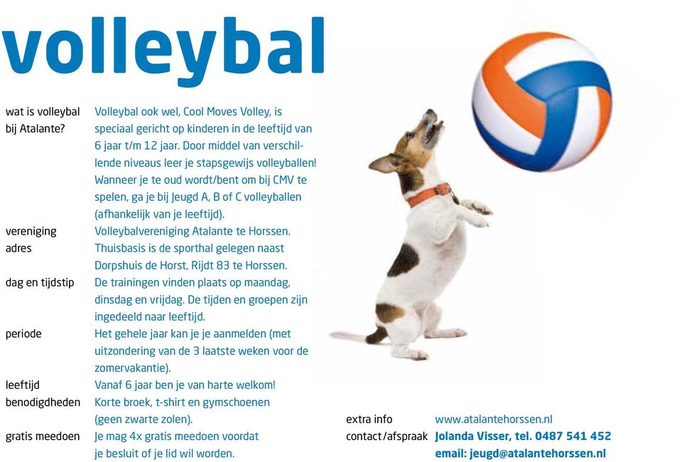 Door middel van verschillende niveaus leer je stapsgewijs volleyballen! Wanneer je te oud wordt/bent om bij CMV te spelen, ga je bij Jeugd A, B of C volleyballen (afhankelijk van je leeftijd).