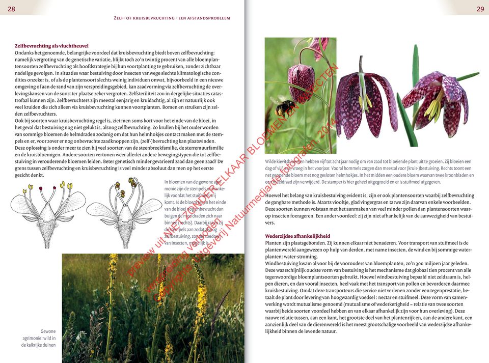 In situaties waar bestuiving door insecten vanwege slechte klimatologische condities onzeker is, of als de plantensoort slechts weinig individuen omvat, bijvoorbeeld in een nieuwe omgeving of aan de