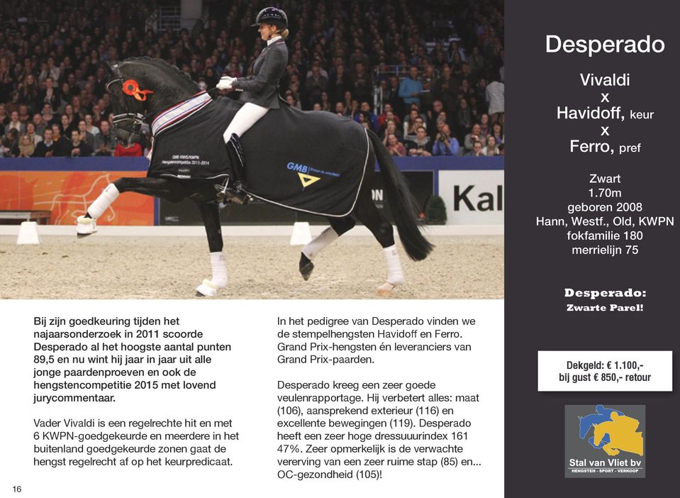 paardenproeven en ook de hengstencompetitie 2015 met lovend jurycommentaar.