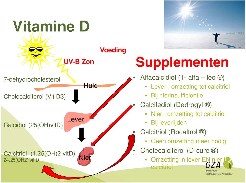 : omzetting tot calcitriol Bij nierinsufficientie Calcifediol (Dedrogyl ) Nier : omzetting tot calcitriol Bij