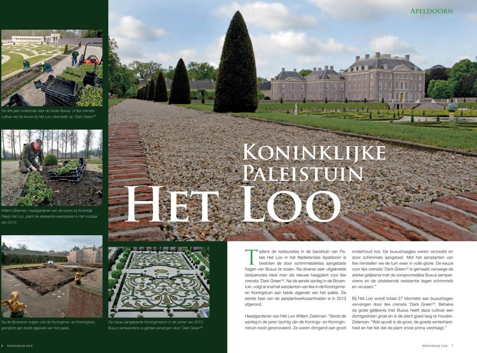 Het Loo Na de Boventuin volgen ook de Koninginne- en Koningstuin, grenzend aan beide zijgevels van het paleis. De nieuw aangeplante Koninginnetuin in de zomer van 2013.