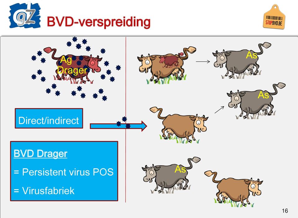 Direct/indirect BVD Drager