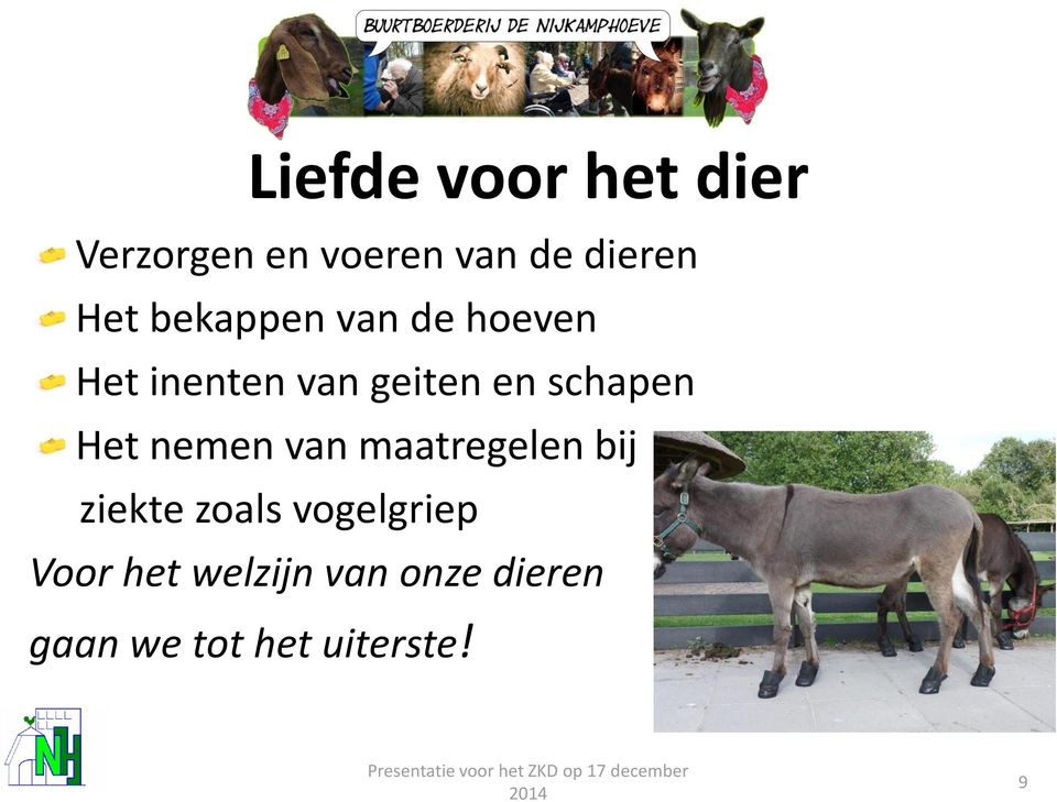 schapen Het nemen van maatregelen bij ziekte zoals