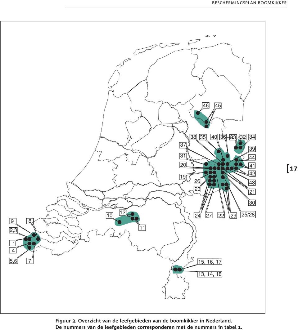 boomkikker in Nederland.