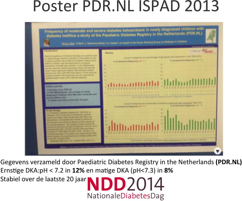 Diabetes Registry in the Netherlands (PDR.