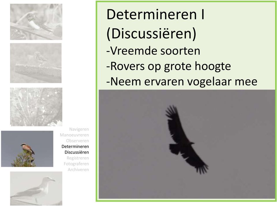 grote hoogte -Neem