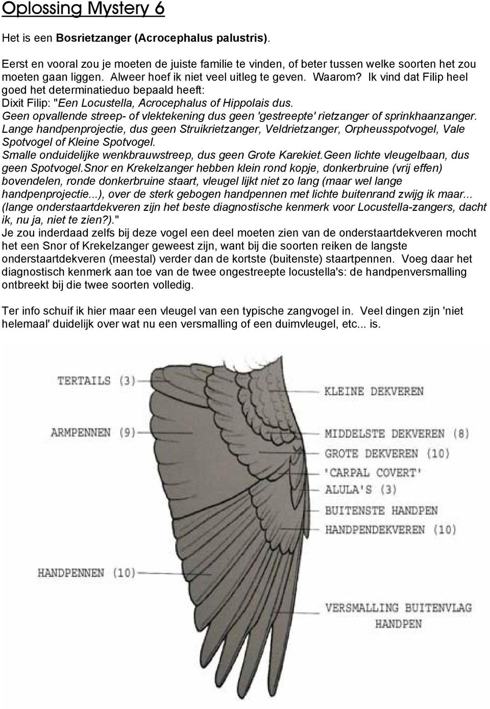 Geen opvallende streep- of vlektekening dus geen 'gestreepte' rietzanger of sprinkhaanzanger.