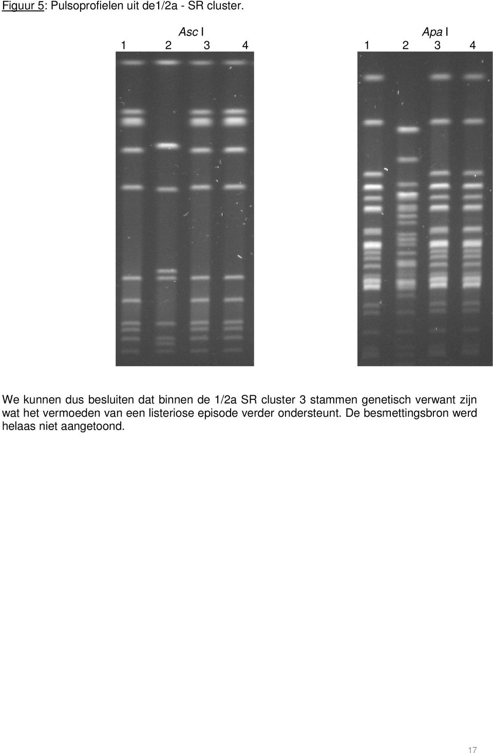 1/2a SR cluster 3 stammen genetisch verwant zijn wat het vermoeden