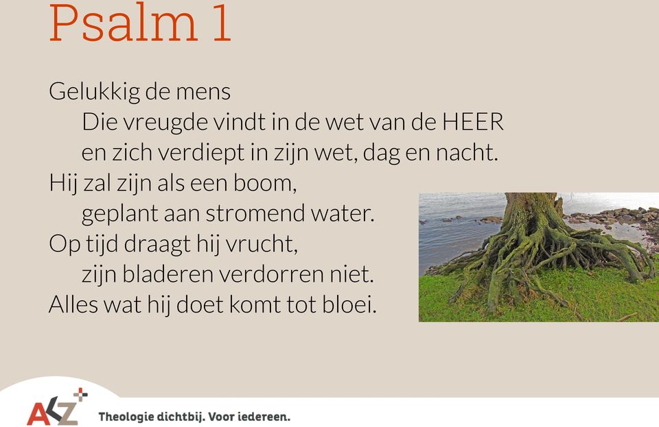 Hij zal zijn als een boom, geplant aan stromend water.