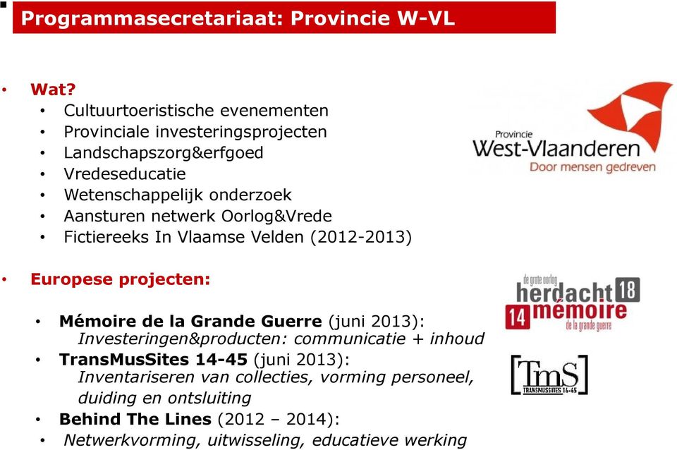 Aansturen netwerk Oorlog&Vrede Fictiereeks In Vlaamse Velden (2012-2013) Europese projecten: Mémoire de la Grande Guerre (juni 2013):