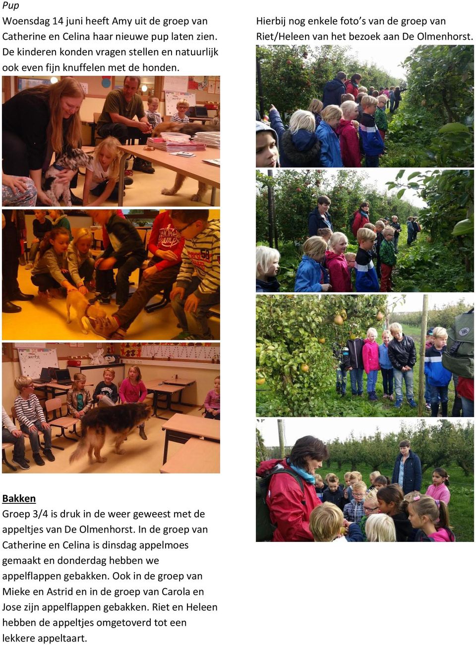 Hierbij nog enkele foto s van de groep van Riet/Heleen van het bezoek aan De Olmenhorst.