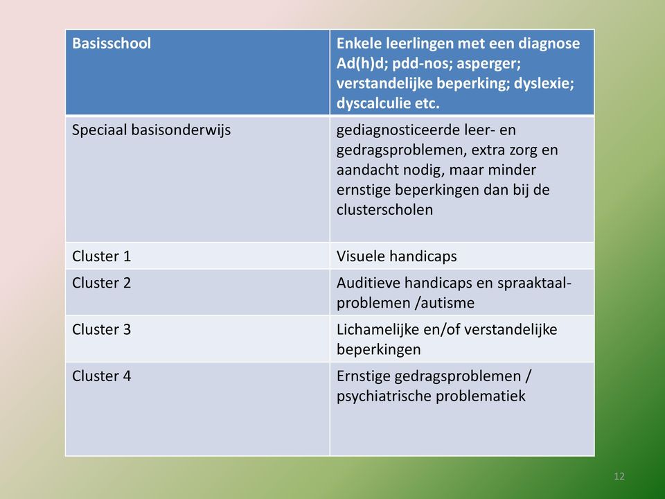 gediagnosticeerde leer- en gedragsproblemen, extra zorg en aandacht nodig, maar minder ernstige beperkingen dan bij de