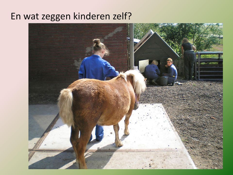 kinderen