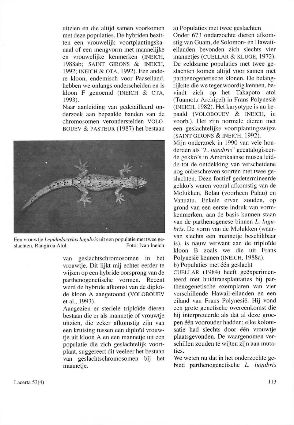 Een andere kloon, endemisch voor Paaseiland, hebben we onlangs onderscheiden en is kloon F genoemd (fneich & OTA, 1993).