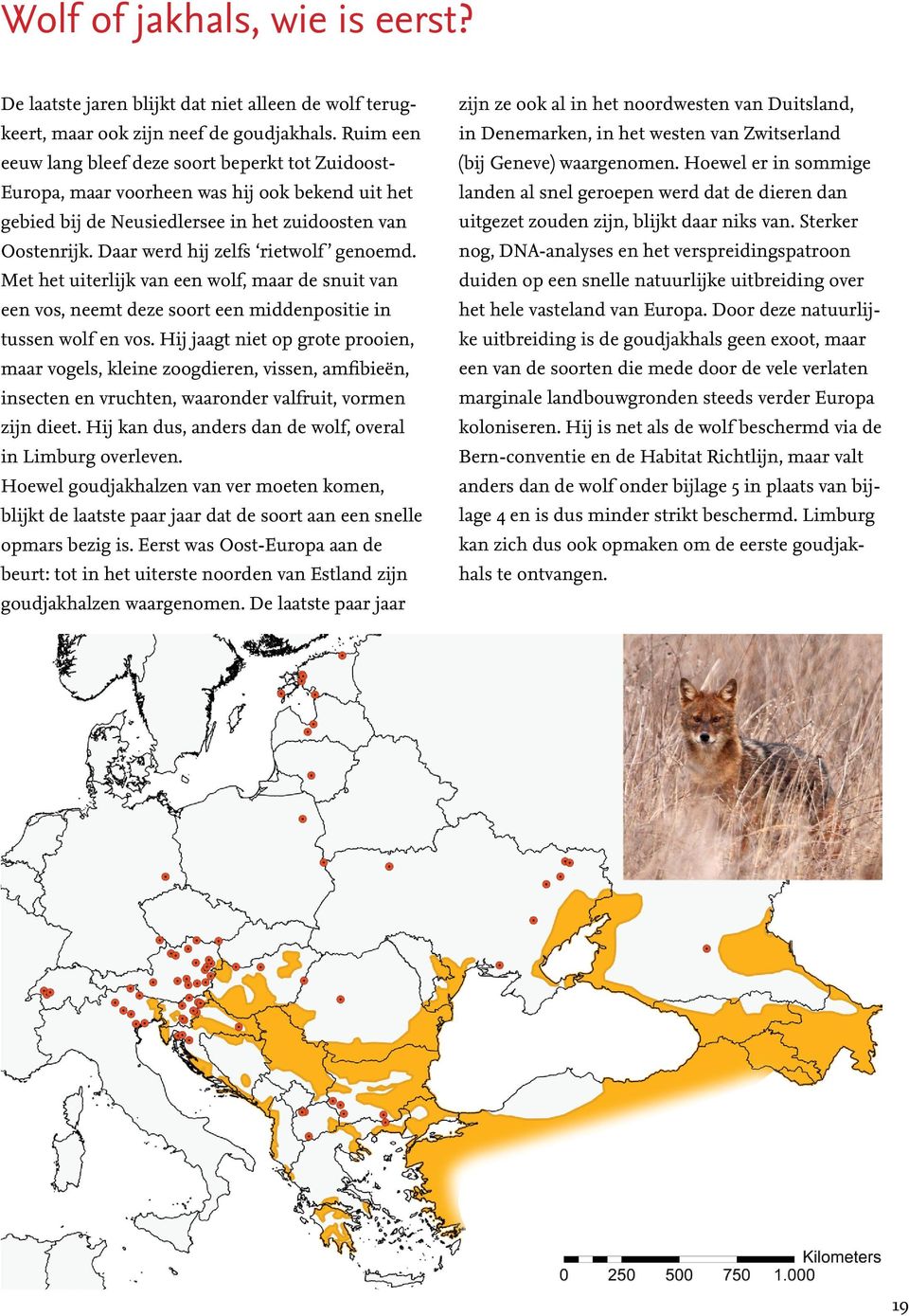 Hoewel er in sommige Europa, maar voorheen was hij ook bekend uit het landen al snel geroepen werd dat de dieren dan gebied bij de Neusiedlersee in het zuidoosten van uitgezet zouden zijn, blijkt