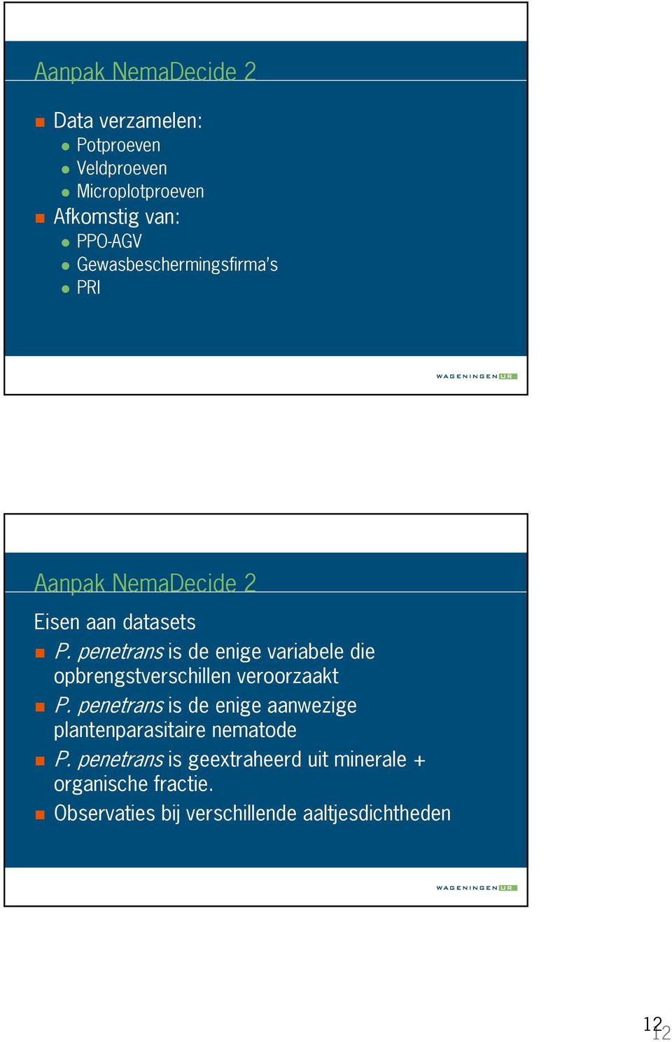 penetrans is de enige variabele die opbrengstverschillen veroorzaakt P.