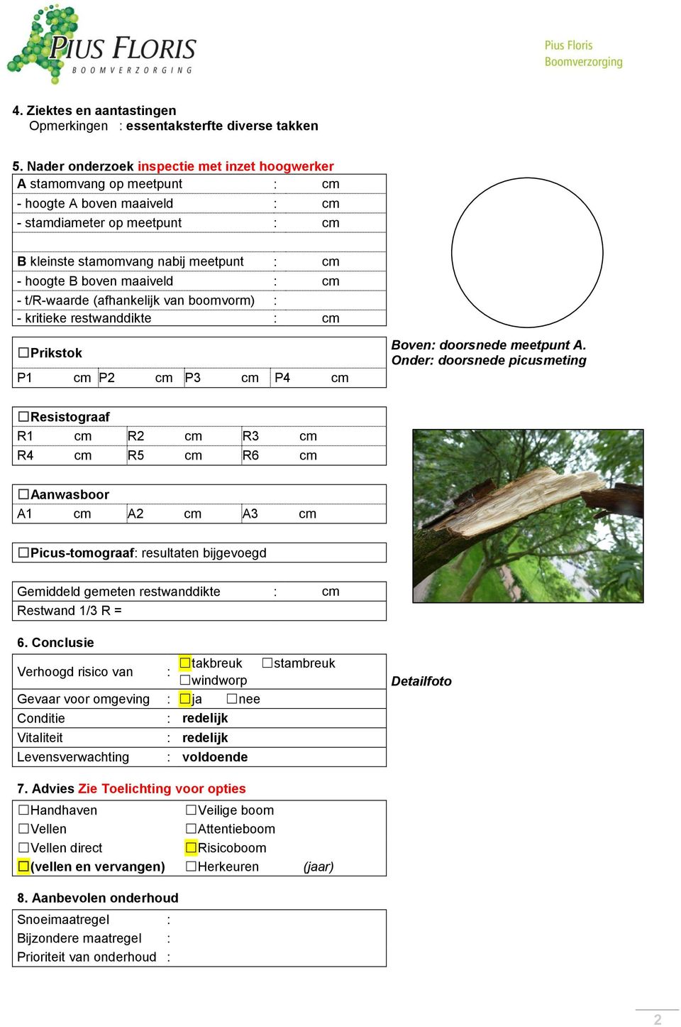 maaiveld : cm - t/r-waarde (afhankelijk van boomvorm) : - kritieke restwanddikte : cm Prikstok P1 cm P2 cm P3 cm P4 cm Boven: doorsnede meetpunt A.