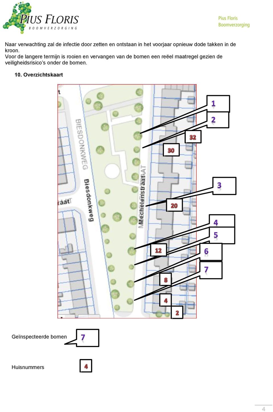 Voor de langere termijn is rooien en vervangen van de bomen een reëel