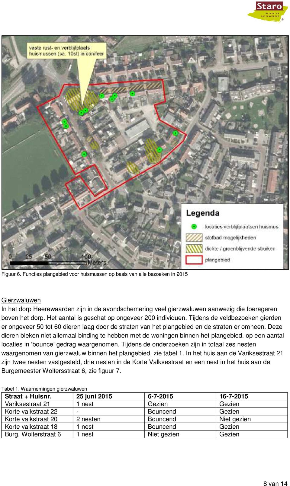 Het aantal is geschat op ongeveer 200 individuen. Tijdens de veldbezoeken gierden er ongeveer 50 tot 60 dieren laag door de straten van het plangebied en de straten er omheen.