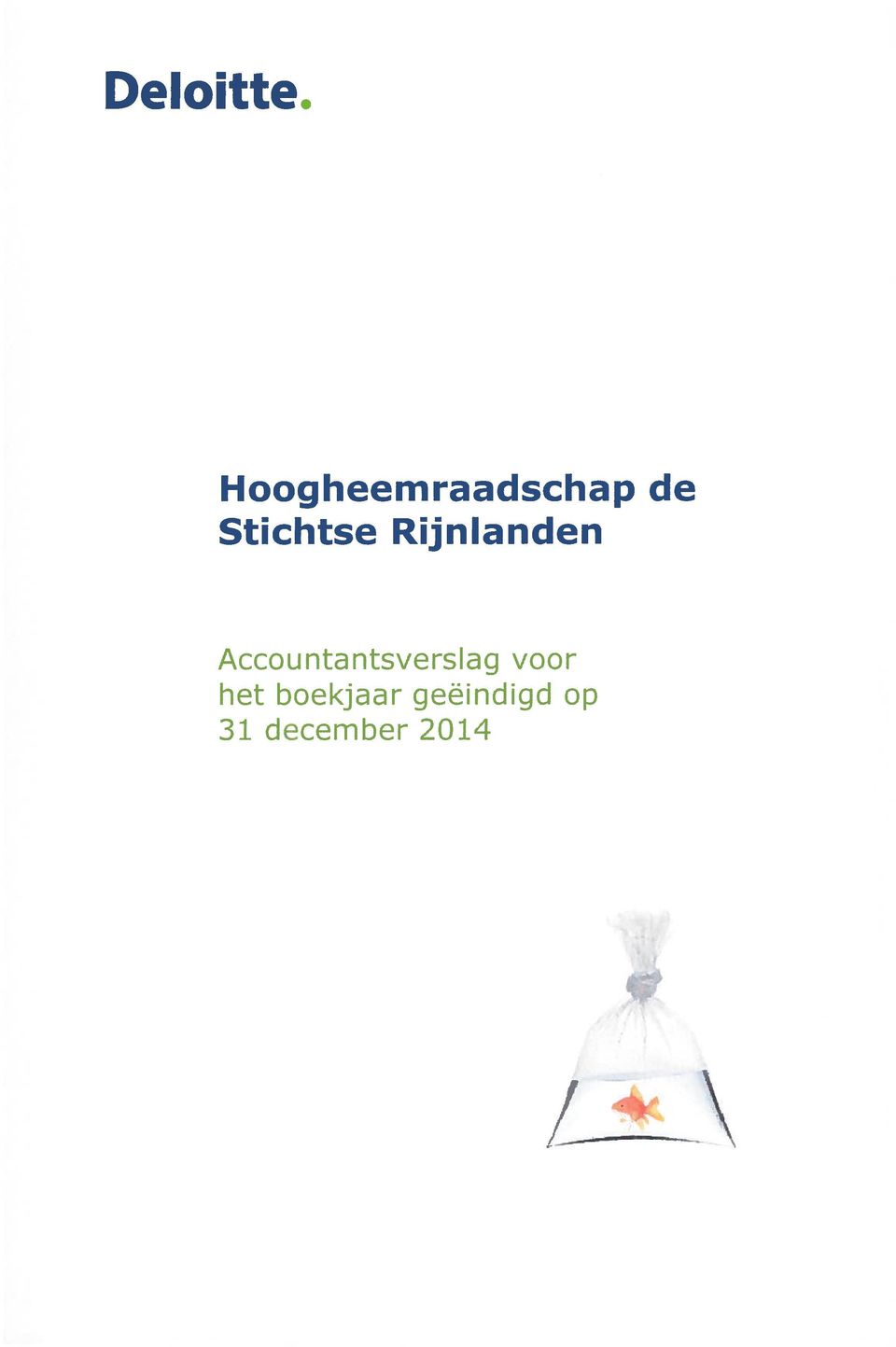 Accountantsverslag voor