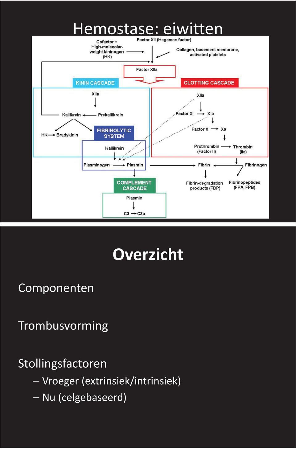 Trombusvorming