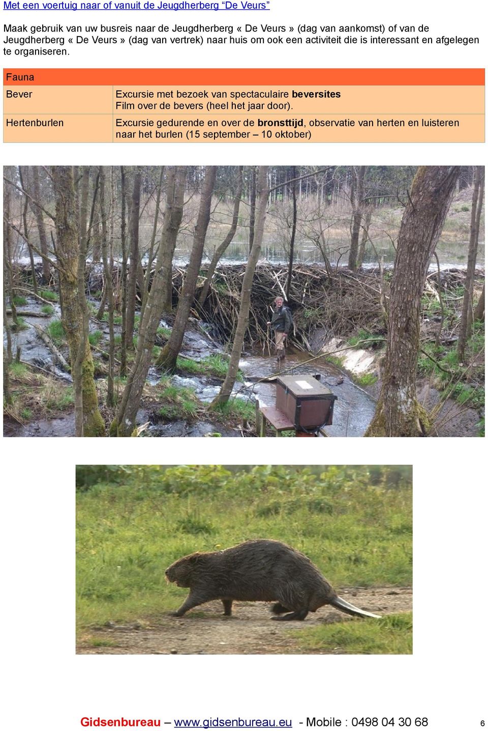 te organiseren. Fauna Bever Excursie met bezoek van spectaculaire beversites Film over de bevers (heel het jaar door).