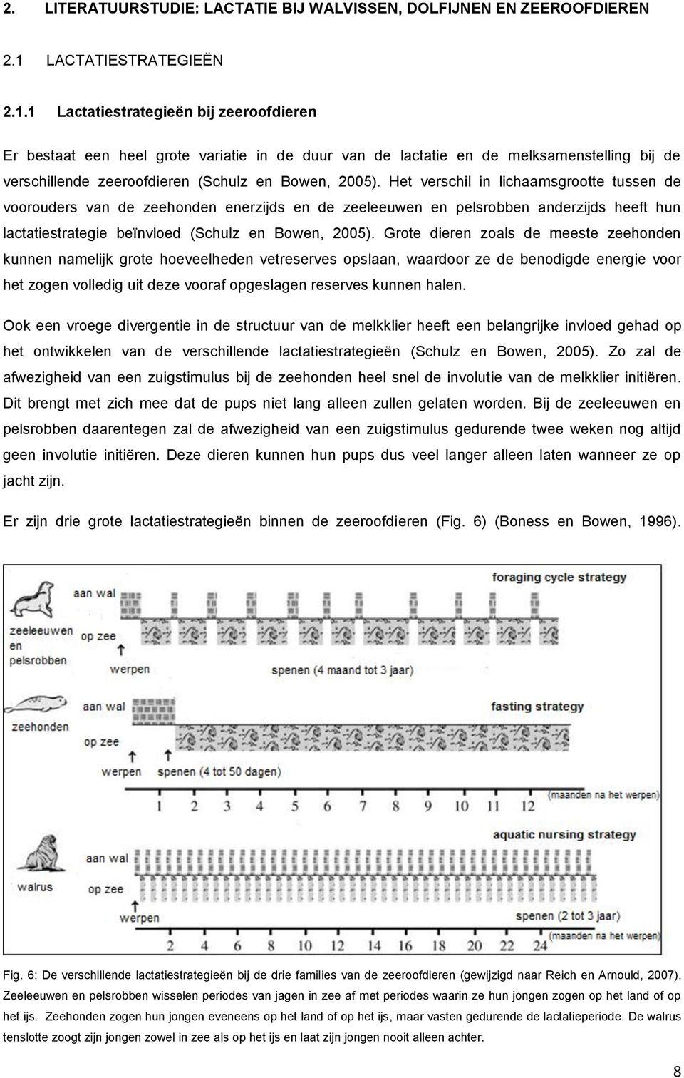 1 Lactatiestrategieën bij zeeroofdieren Er bestaat een heel grote variatie in de duur van de lactatie en de melksamenstelling bij de verschillende zeeroofdieren (Schulz en Bowen, 2005).