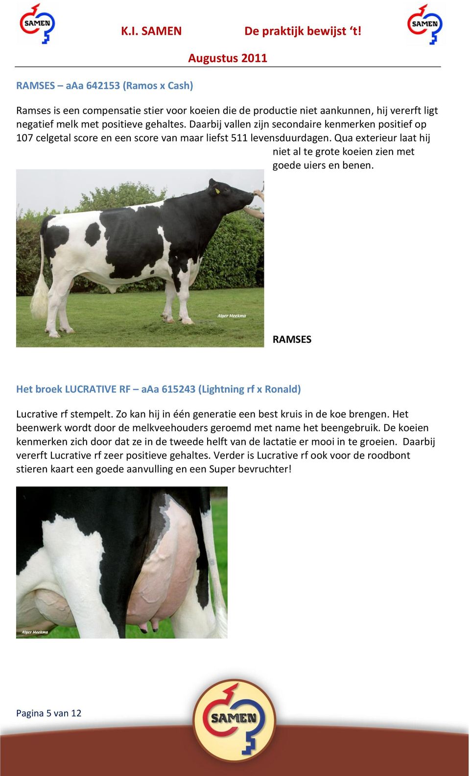 RAMSES Het broek LUCRATIVE RF aaa 615243 (Lightning rf x Ronald) Lucrative rf stempelt. Zo kan hij in één generatie een best kruis in de koe brengen.