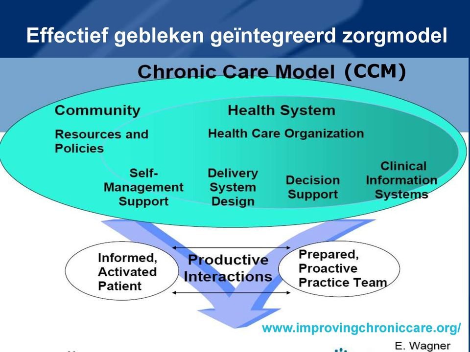 zorgmodel (CCM) www.