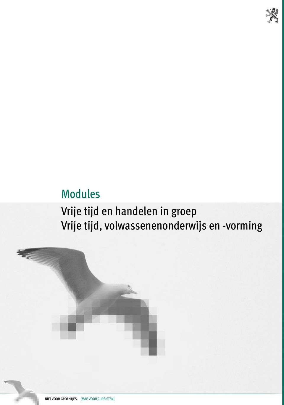 -VORMING Modules Vrije tijd en handelen in