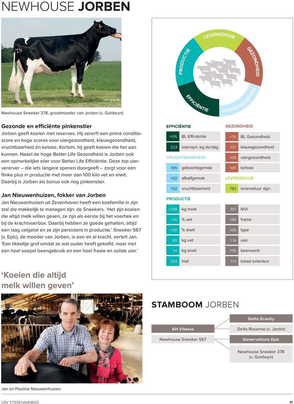 Naast de hoge Better Life Gezondheid is Jorben ook een opmerkelijke stier voor Better Life Efficiëntie.