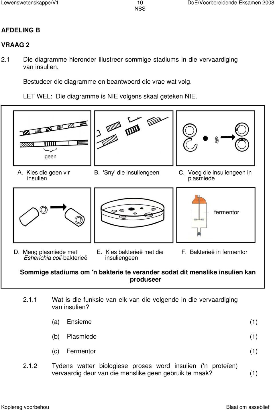 Voeg die insuliengeen in insulien plasmiede fermentor D. Meng plasmiede met E. Kies bakterieë met die F.