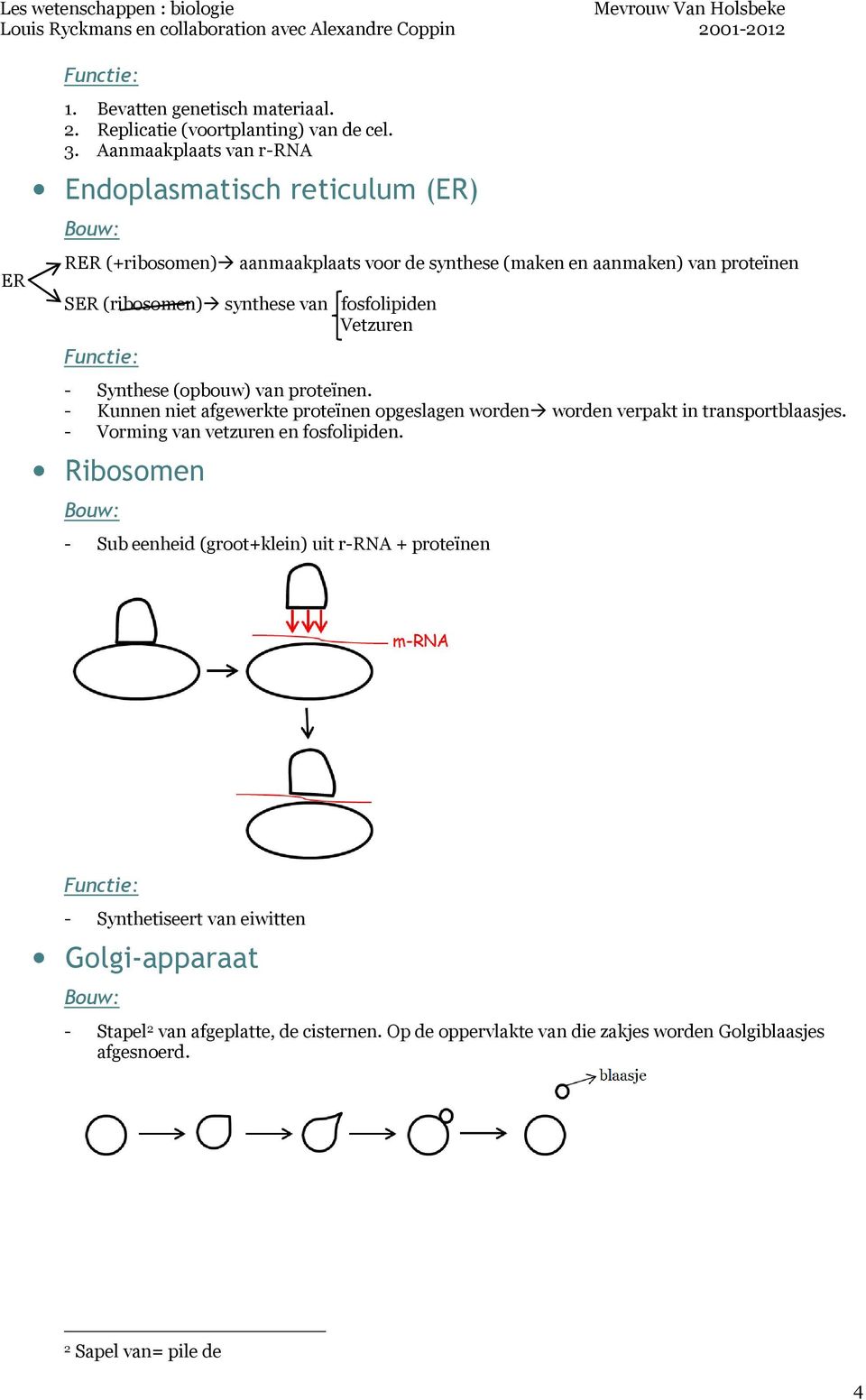 fosfolipiden Vetzuren - Synthese (opbouw) van proteïnen. - Kunnen niet afgewerkte proteïnen opgeslagen worden worden verpakt in transportblaasjes.