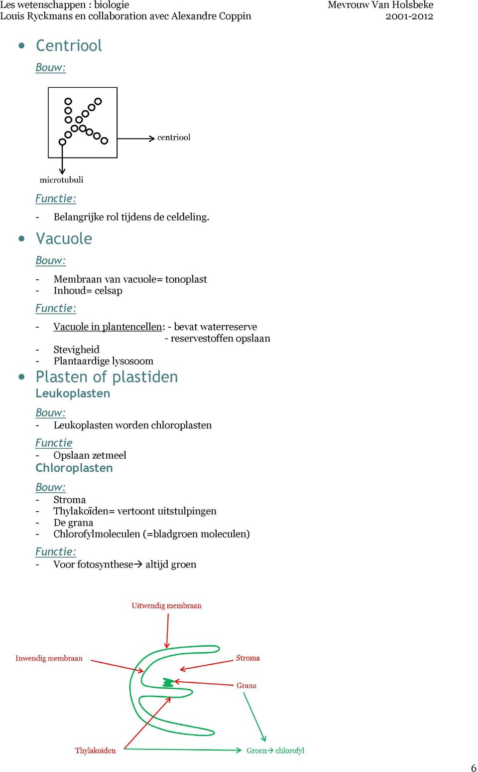 reservestoffen opslaan - Stevigheid - Plantaardige lysosoom Plasten of plastiden Leukoplasten - Leukoplasten worden