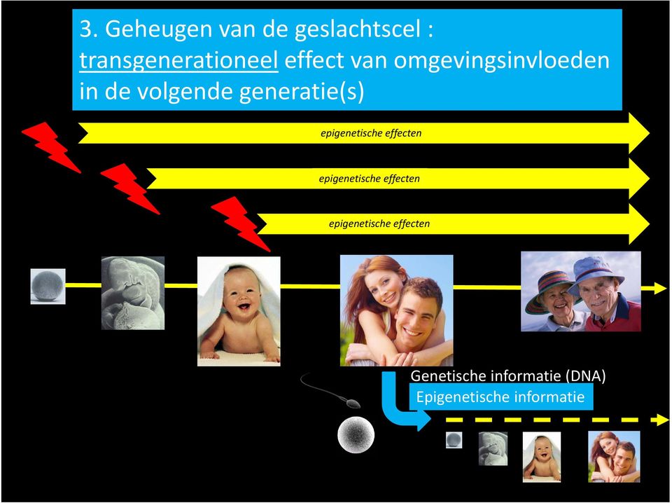 effecten epigenetische effecten epigenetische effecten