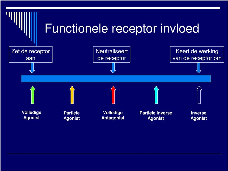 receptor om Volledige Agonist Partiele Agonist