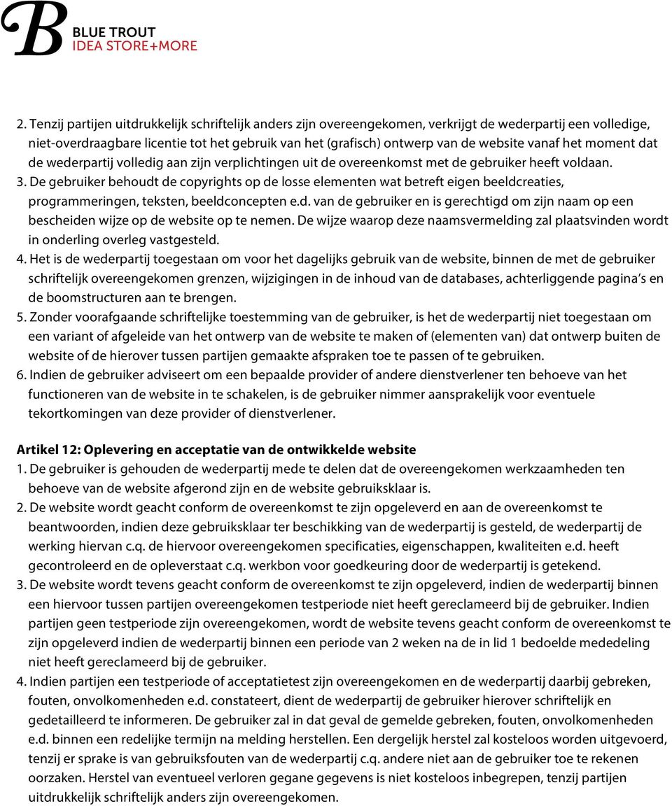 De gebruiker behoudt de copyrights op de losse elementen wat betreft eigen beeldcreaties, programmeringen, teksten, beeldconcepten e.d. van de gebruiker en is gerechtigd om zijn naam op een bescheiden wijze op de website op te nemen.