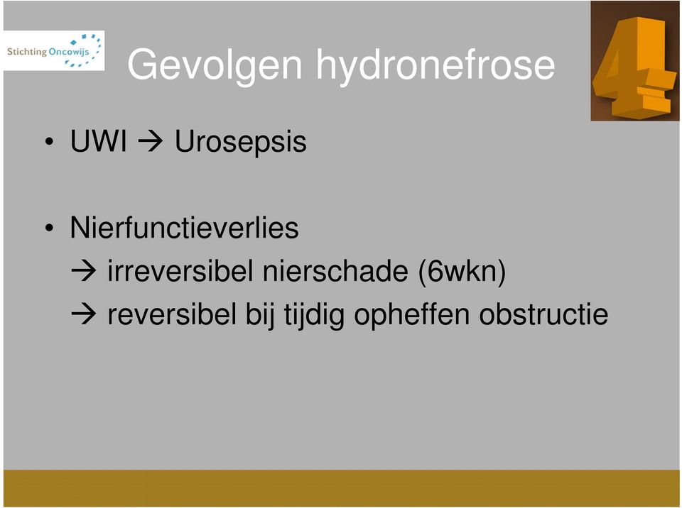 irreversibel nierschade (6wkn)