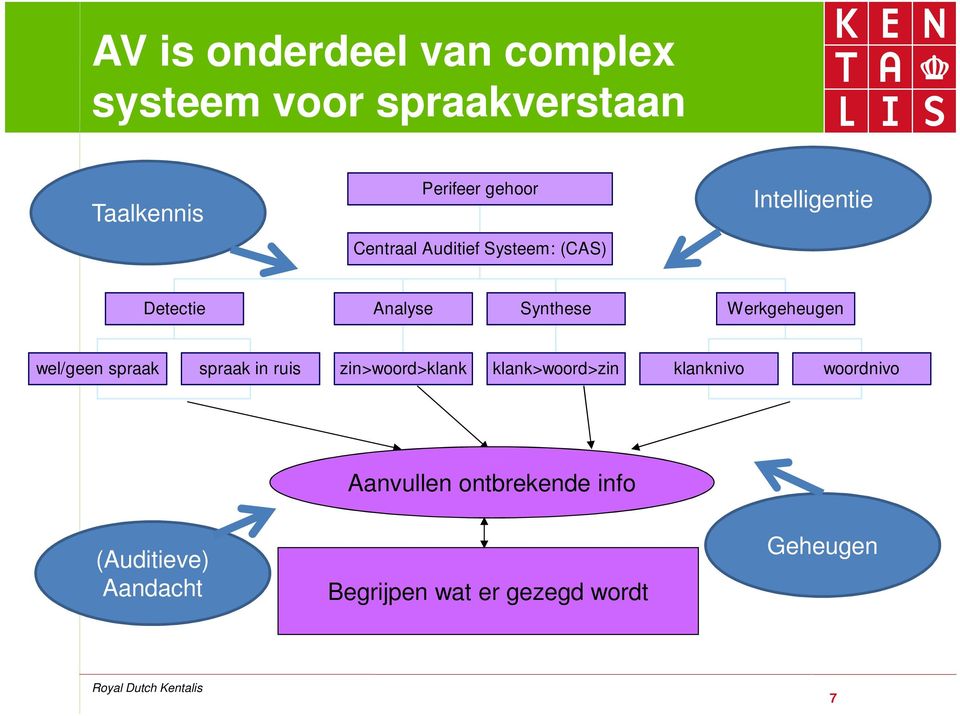 Werkgeheugen wel/geen spraak spraak in ruis zin>woord>klank klank>woord>zin