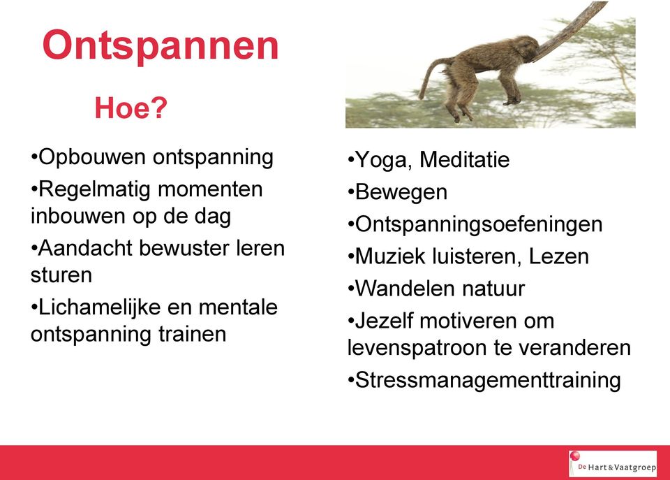 leren sturen Lichamelijke en mentale ontspanning trainen Concreet Yoga,