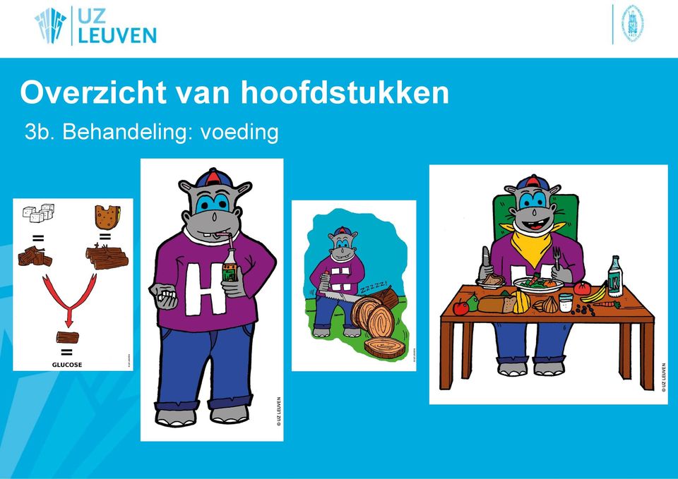 hoofdstukken