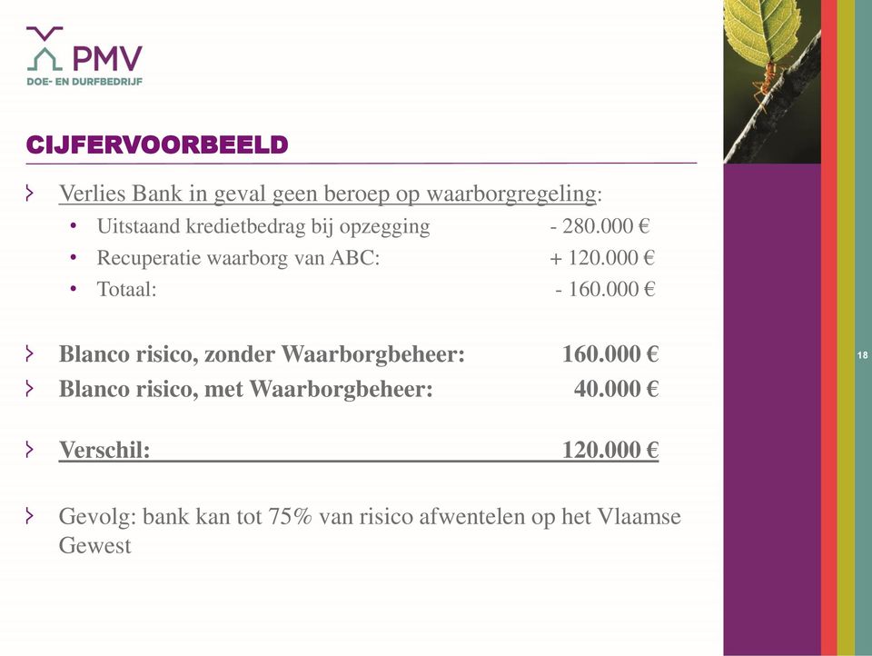 000 Totaal: - 160.000 Blanco risico, zonder Waarborgbeheer: 160.