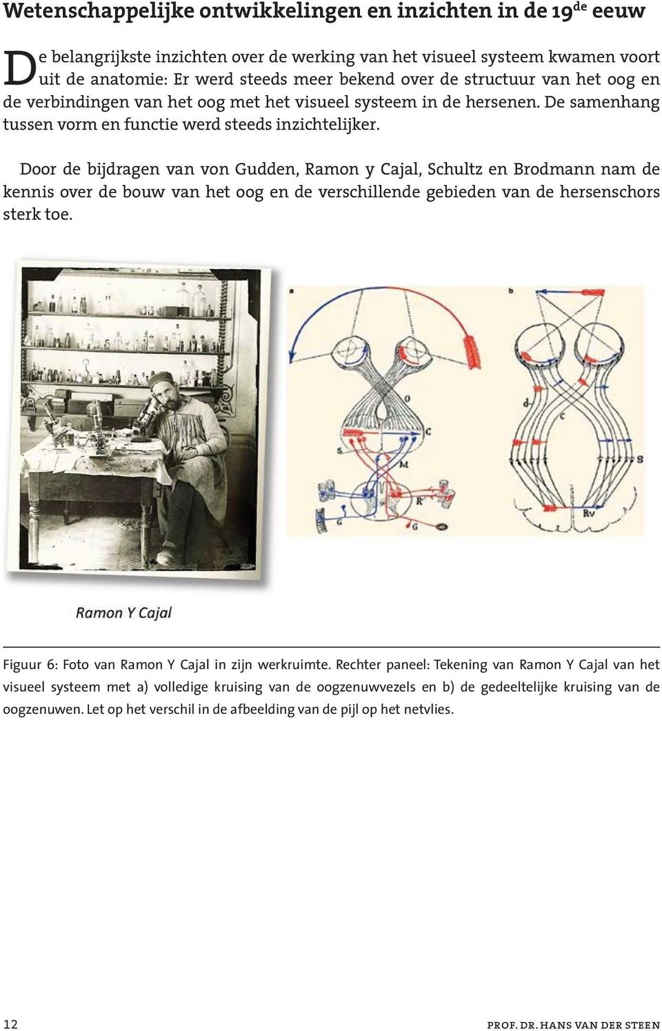 Door de bijdragen van von Gudden, Ramon y Cajal, Schultz en Brodmann nam de kennis over de bouw van het oog en de verschillende gebieden van de hersenschors sterk toe.
